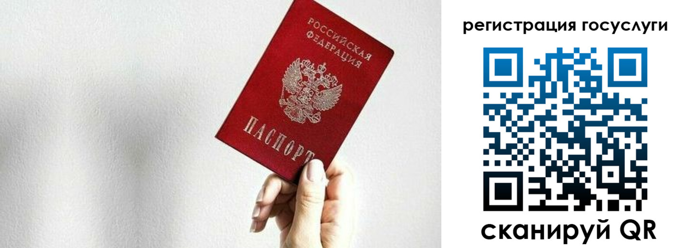 прописка гарантия в Гаджиево